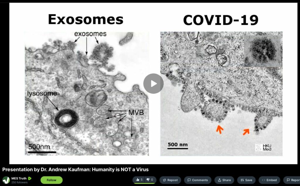 Presentation by Dr Andrew Kaufman Humanity is NOT a Virus
