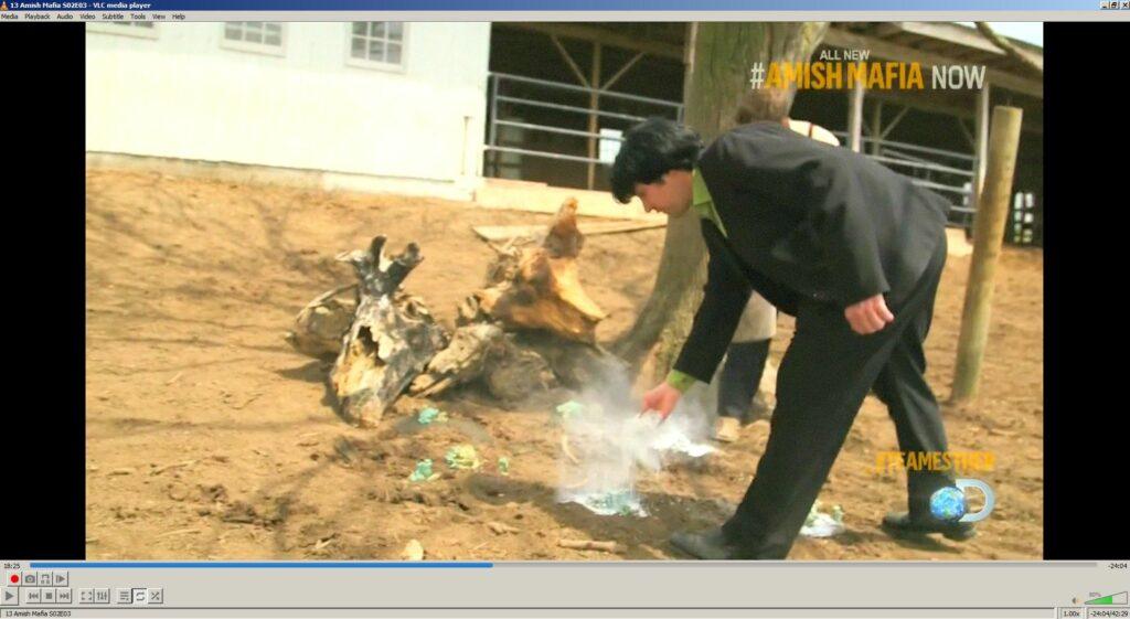 Amish mafia baking soda destroys mushrooms 20250214 033125