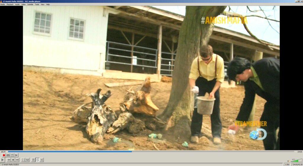 Amish mafia baking soda destroys mushrooms 20250214 033223