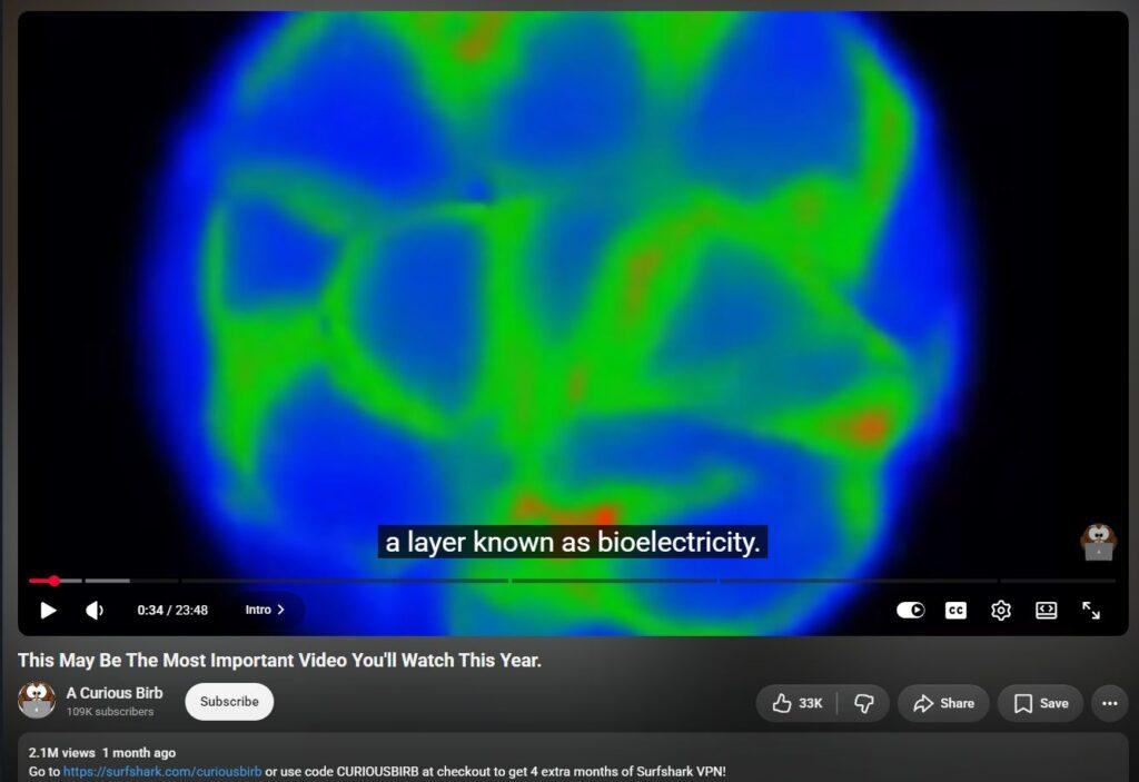 20261005