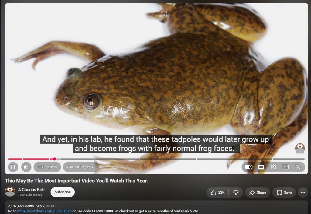 20261005