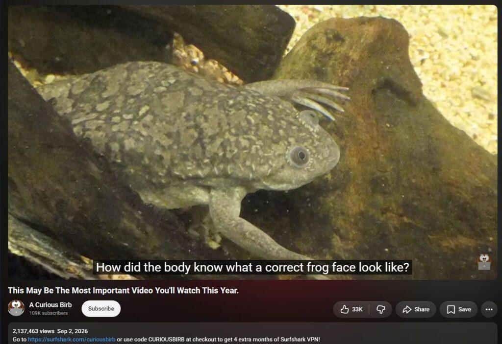 20261005