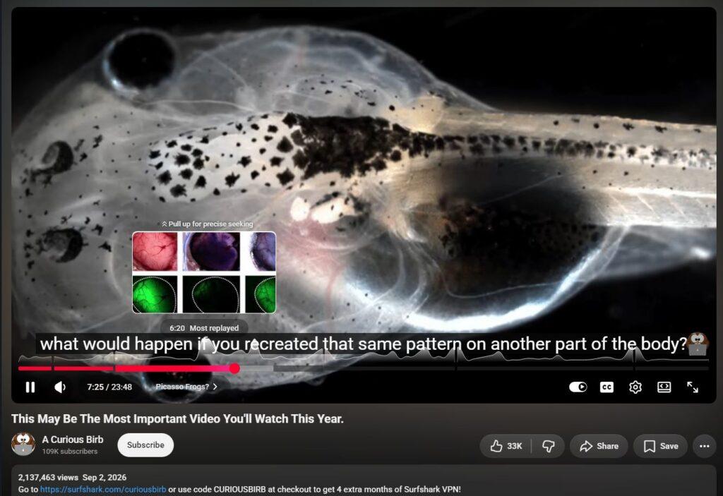 20261005