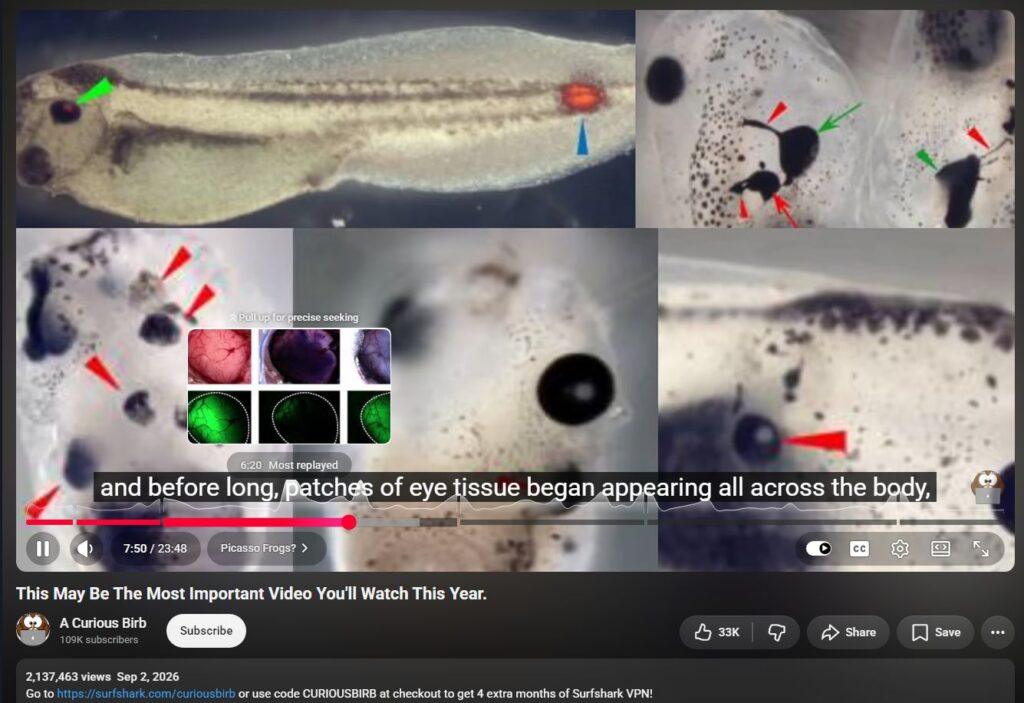 20261005