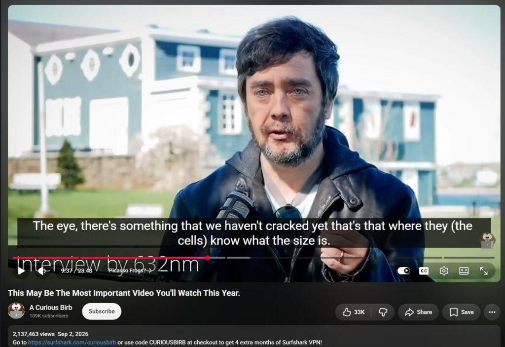 20261005