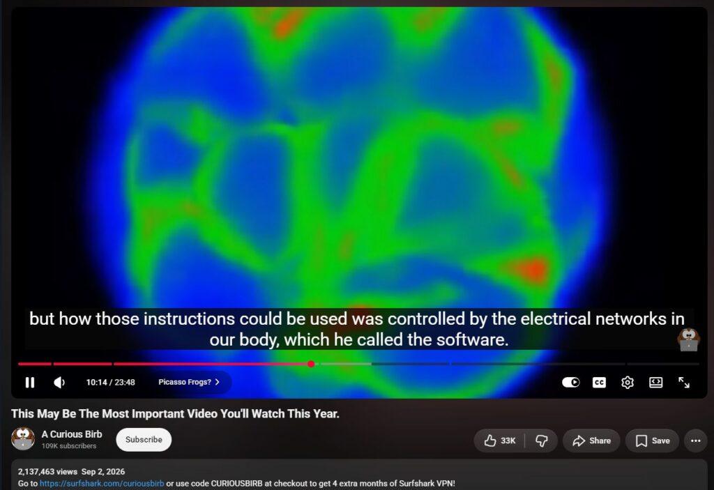 20261005