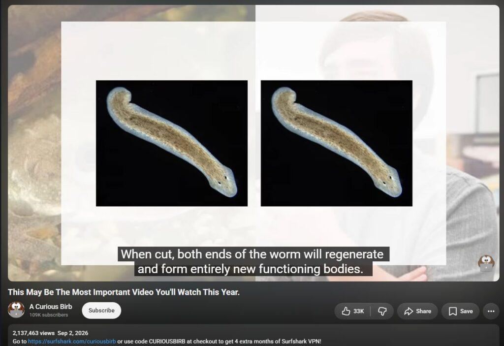 20261005