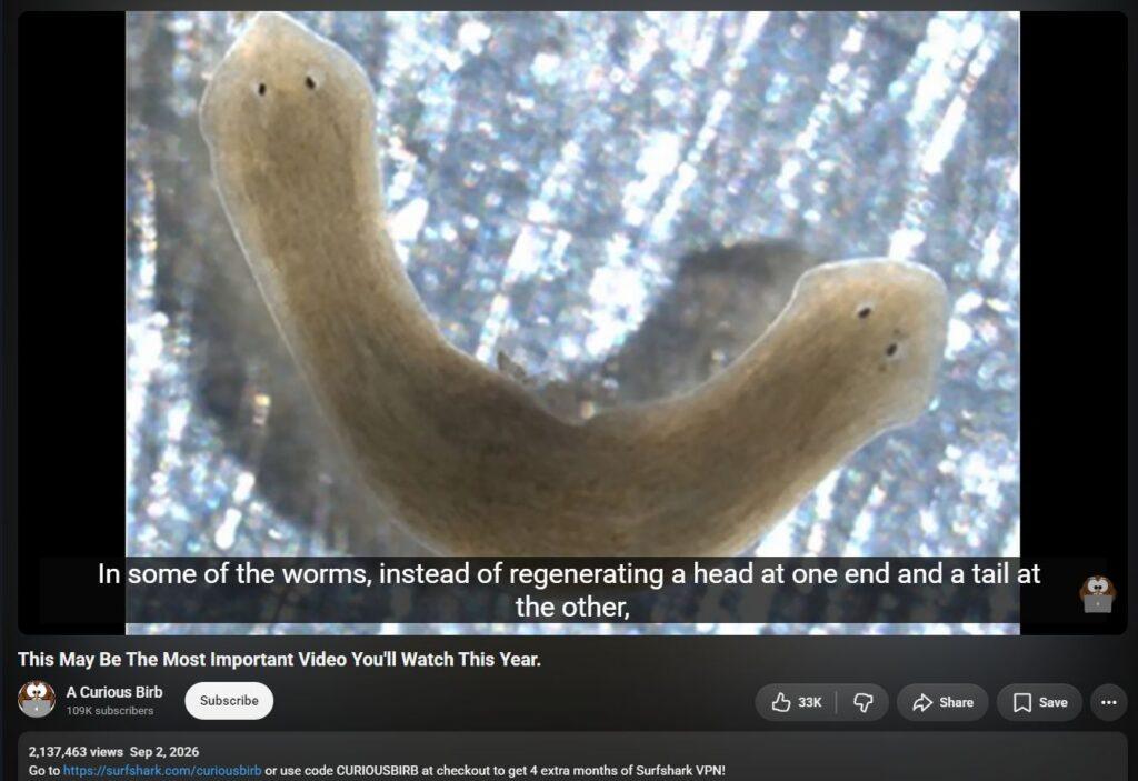 20261005