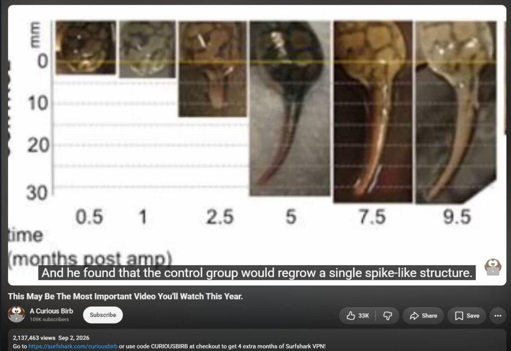 20261005